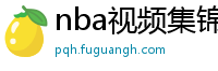 nba视频集锦